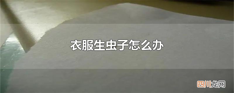 衣服生虫子怎么办