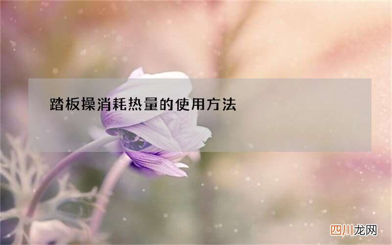 踏板操消耗热量的使用方法