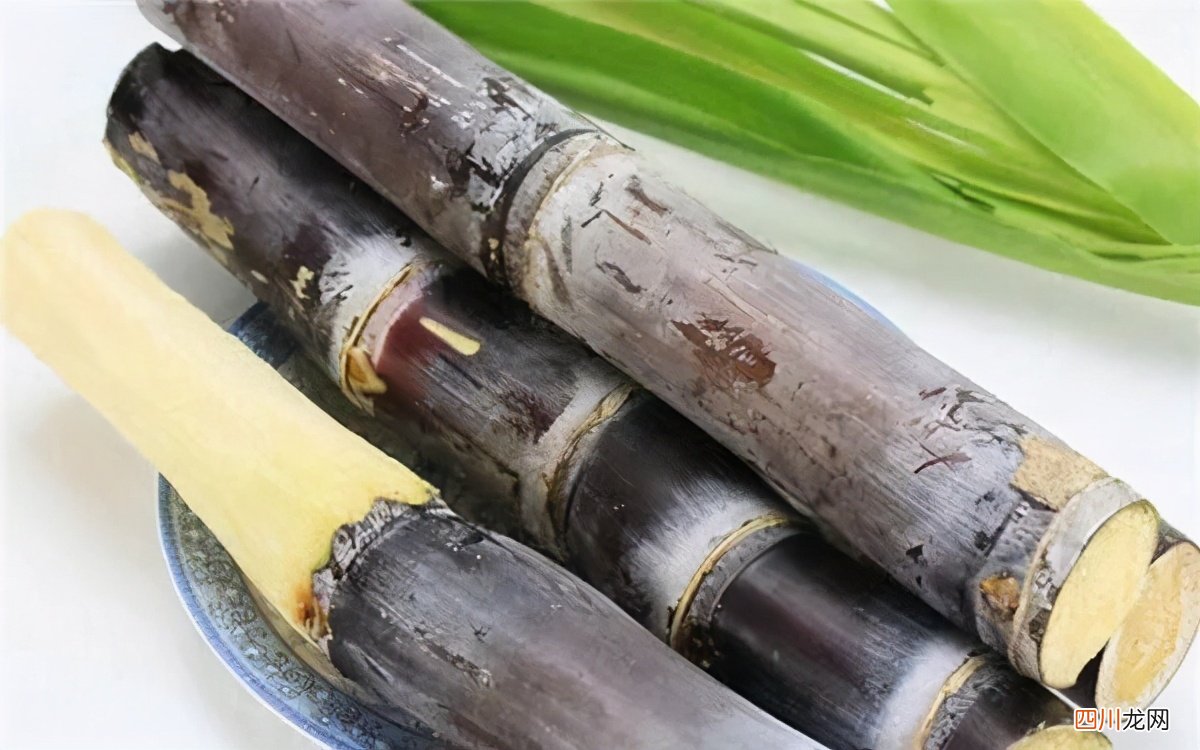 带你全面了解甘蔗用途 甘蔗的功效与作用是什么
