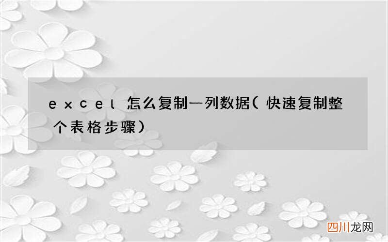 快速复制整个表格步骤 excel怎么复制一列数据