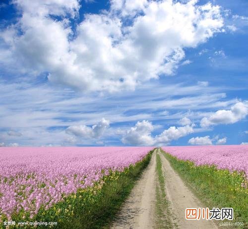遭受家庭暴力可以找哪些部门