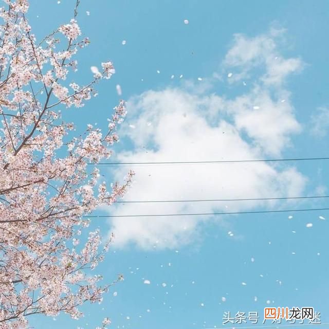 浪漫的告白情话 浪漫表白暗示情话