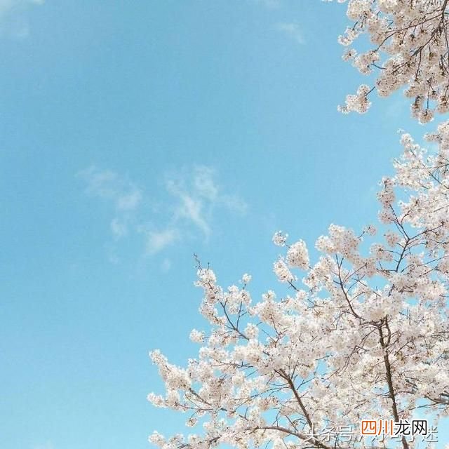 浪漫的告白情话 浪漫表白暗示情话