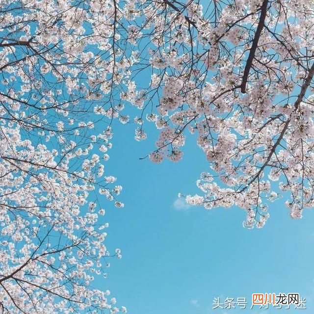 浪漫的告白情话 浪漫表白暗示情话