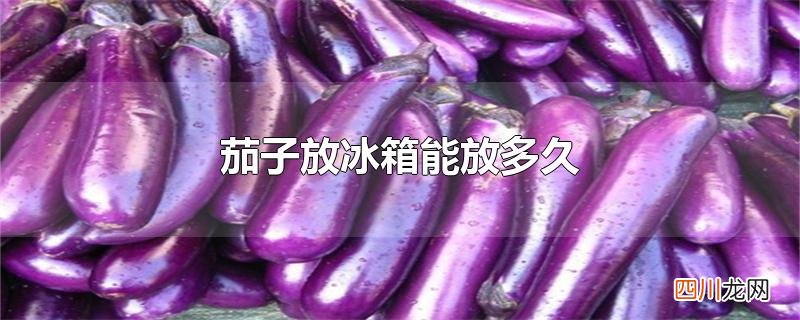 茄子放冰箱能放多久