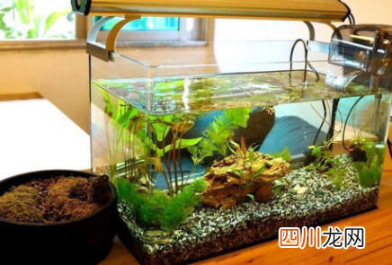 鱼缸断电一晚上鱼会死吗