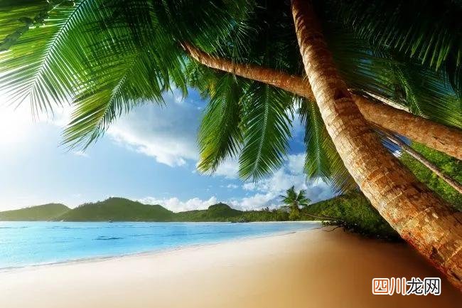 全球佳旅行目的地 现在佳旅游地
