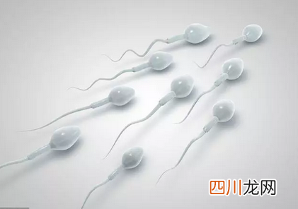 男性在什么时候会丧失生育能力 男性生育最佳年龄时间
