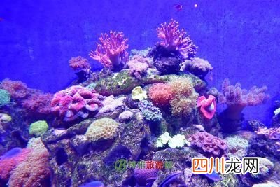 辽宁省十大旅游景点 辽宁旅游景点大全