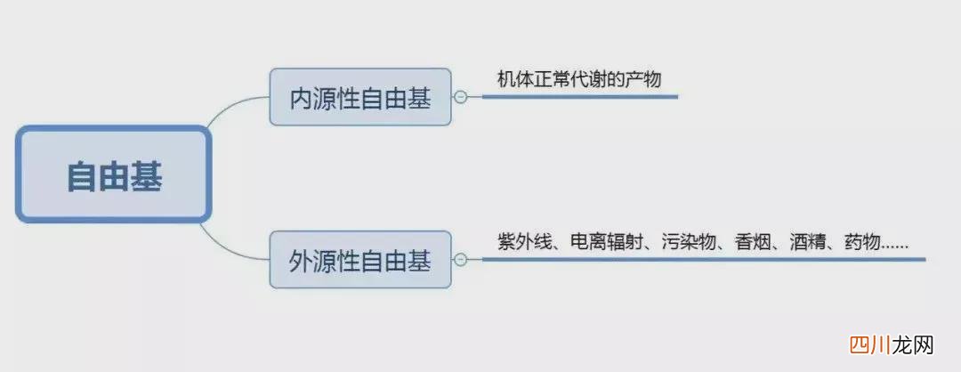 抗氧化到底在抗什么？ 抗氧化能力