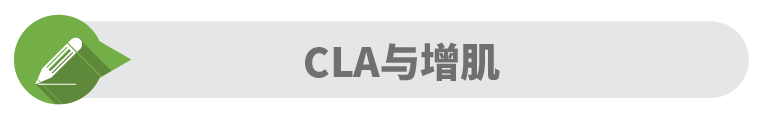 共轭亚油酸了解一下 共轭亚油酸的作用