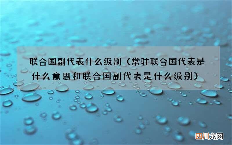 常驻联合国代表是什么意思和联合国副代表是什么级别 联合国副代表什么级别