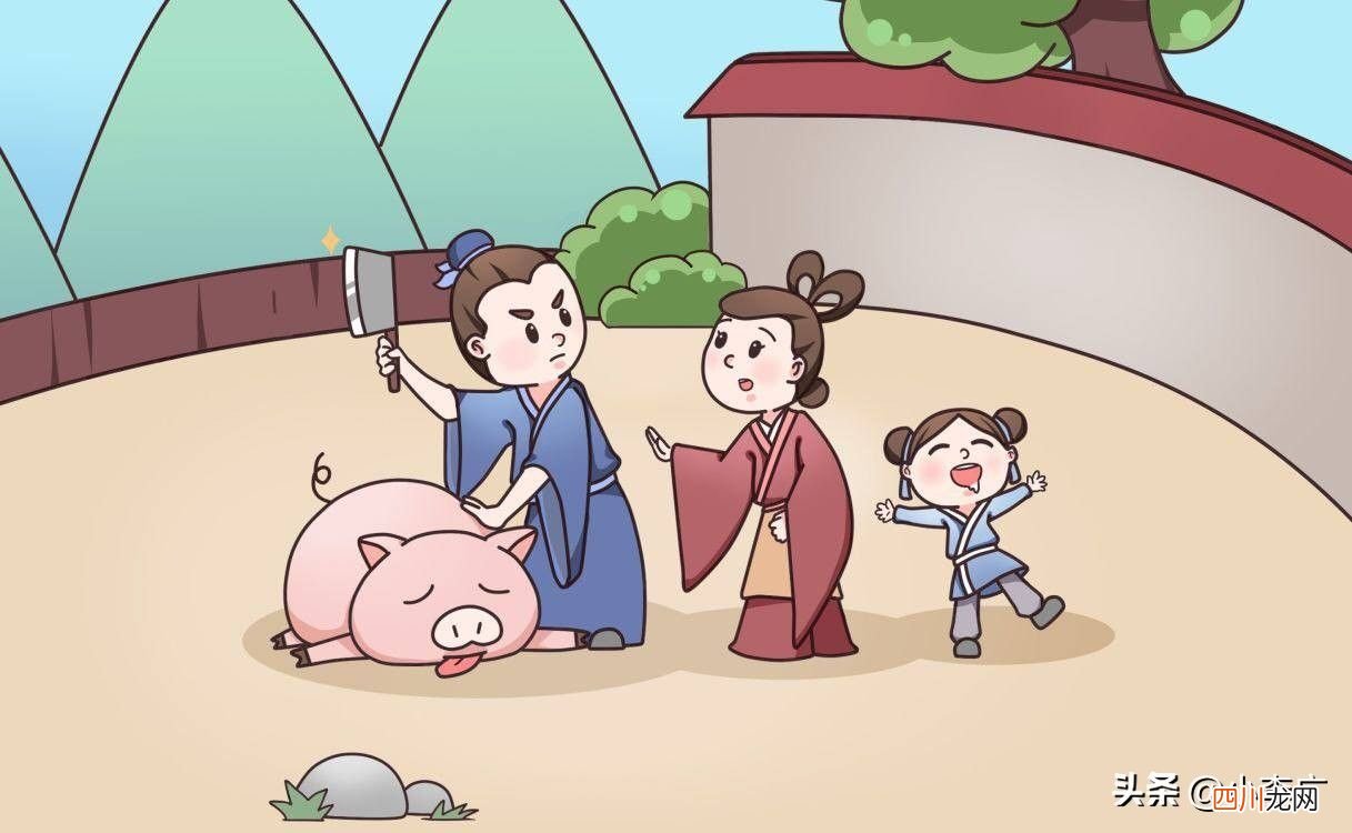曾子为什么杀猪？ 曾子杀猪的寓意