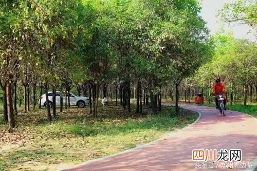 郑州市树木园一日游攻略 郑州市树木园一日游