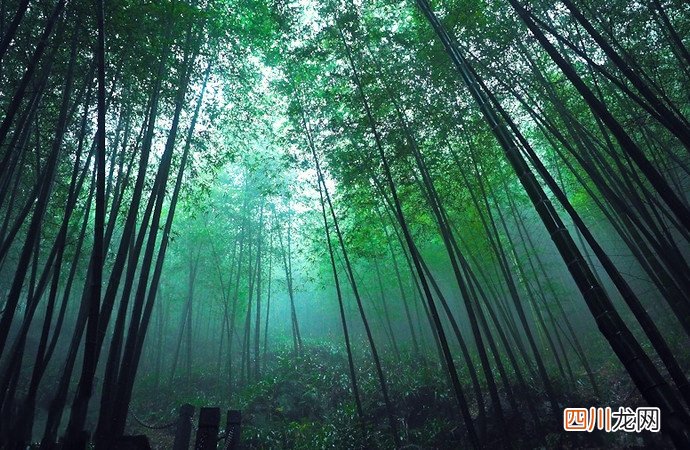 自驾游贵州旅游路线图（贵州旅游自由行攻略路线图