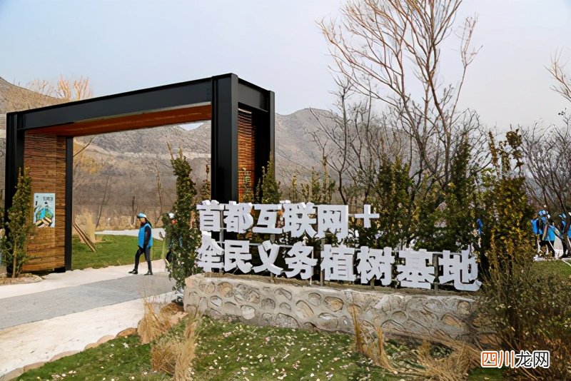 植树节是3月12日 植树节是几月几日