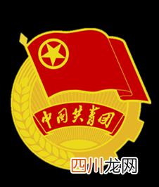 “智慧团建”攻略！系统操作常见问题解答