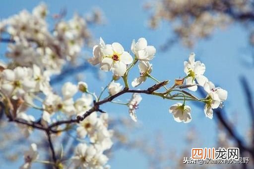 家长怎么解决与子女间的代沟？ 代沟的解决方法有哪些？