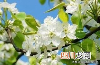 家长怎么解决与子女间的代沟？ 代沟的解决方法有哪些？