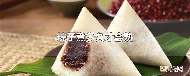 粽子煮多久才会熟