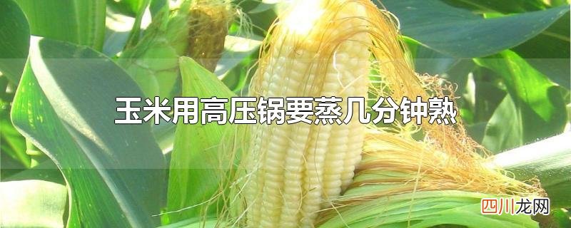 玉米用高压锅要蒸几分钟熟
