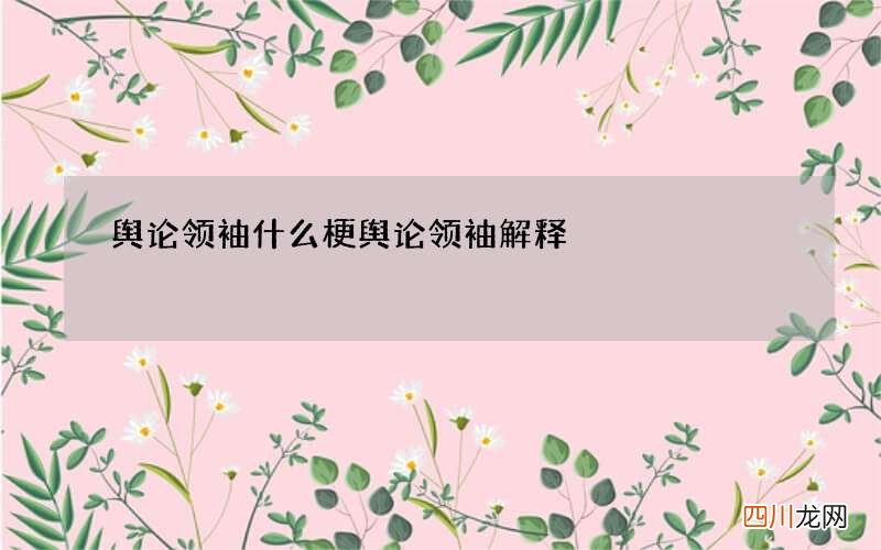 舆论领袖什么梗 舆论领袖解释