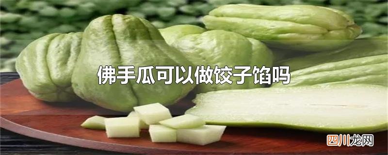 佛手瓜可以做饺子馅吗