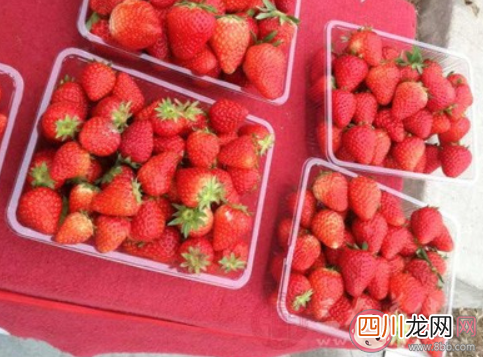 草莓应该以怎样的方式进行清洗 蚂蚁新村12月6日答案