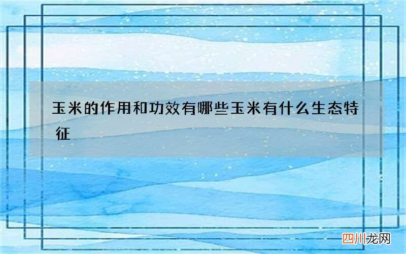 玉米的作用和功效有哪些 玉米有什么生态特征