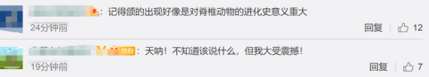 重庆发现4.23亿年前袖珍边城鱼！网友评论亮了