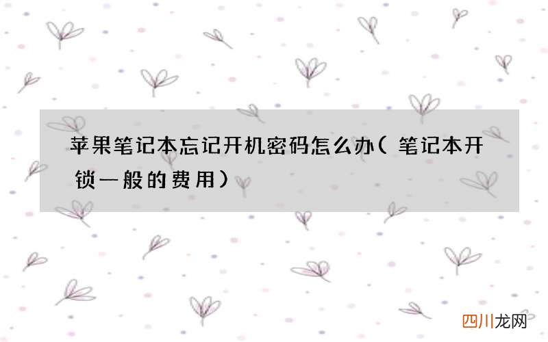 笔记本开锁一般的费用 苹果笔记本忘记开机密码怎么办