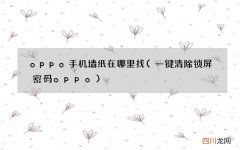 一键清除锁屏密码oppo oppo手机墙纸在哪里找