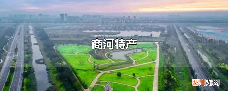 商河特产