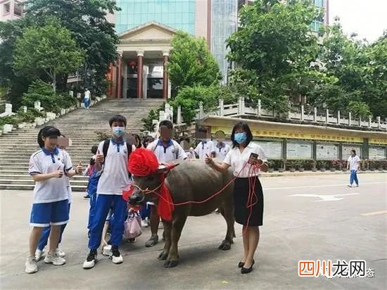 高考 654分家长送牛感谢学校：100000000000字作文