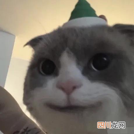 免费挣钱快的app 什么app能赚钱快又安全