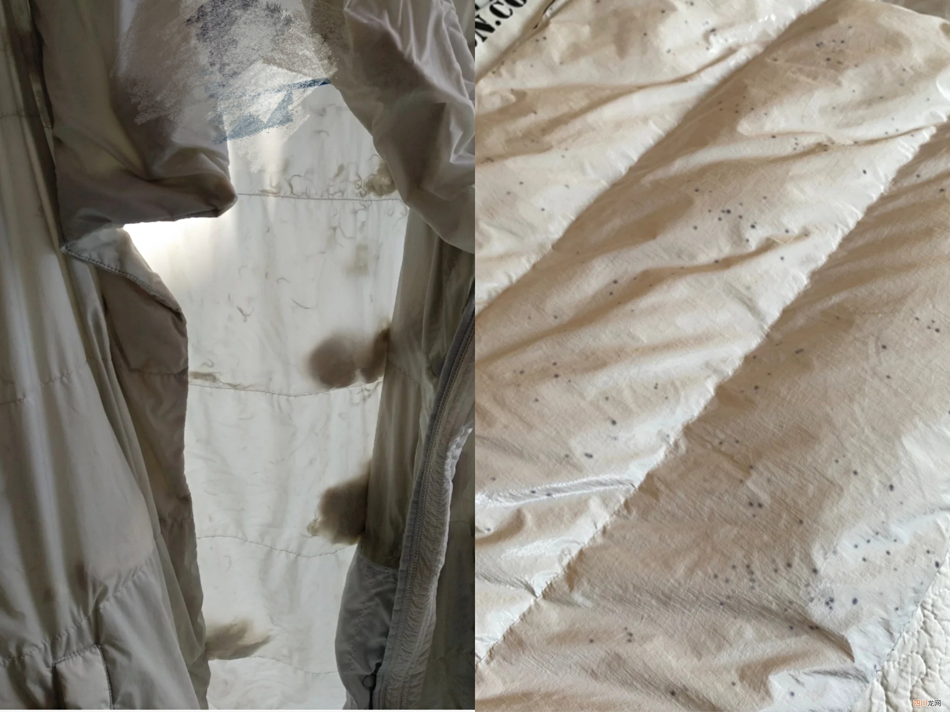 羽绒服怎么洗好 正确 羽绒服能用洗衣机洗吗