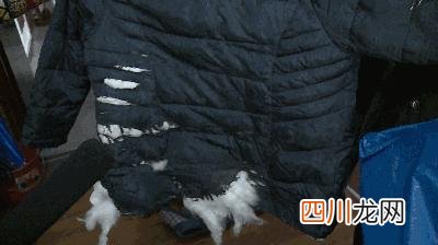 羽绒服怎么洗好 正确 羽绒服能用洗衣机洗吗