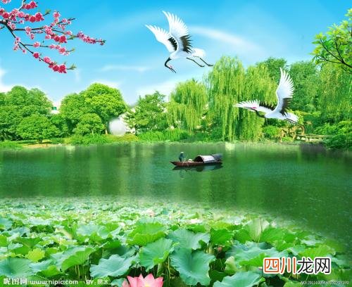 单亲家庭孩子遭家暴怎么办
