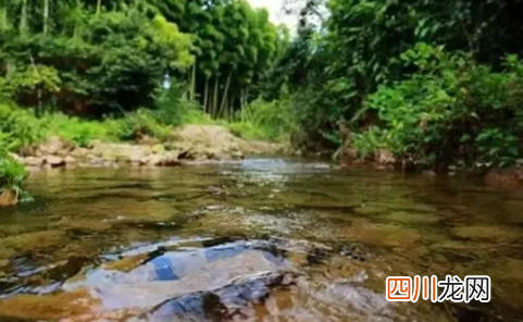 活体蚂蟥在5岁男孩体内存留1年多是真的吗 喝生水有哪些危害