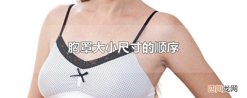 胸罩大小尺寸的顺序