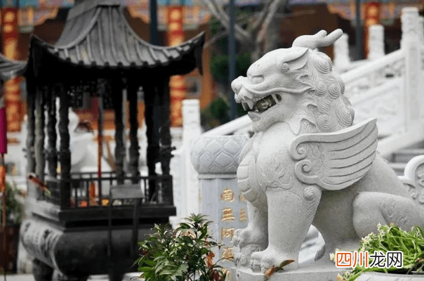 令人深省的好文 叶辰孙怡夏若雪全文免费阅读