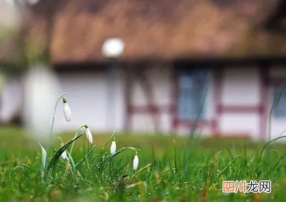 10条实用心理常识 叶辰孙怡夏若雪全文免费阅读
