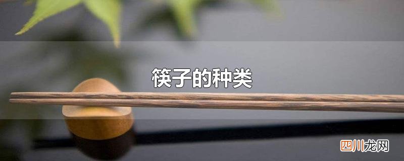 筷子的种类