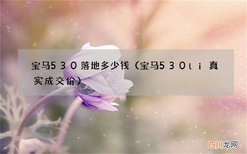宝马530li真实成交价 宝马530落地多少钱