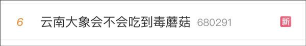 云南大象会不会吃到毒蘑菇？专家：没必要担心，它们分得清