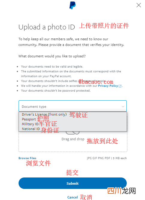 paypal邮箱注册 怎么注册paypal