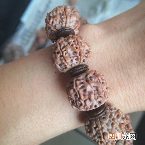 玩友分享金刚菩子阴干后清理之盘与