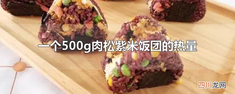 一个500g肉松紫米饭团的热量