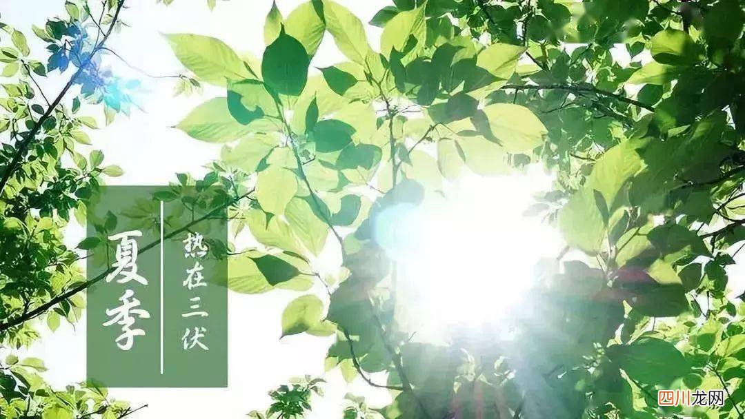 2021三伏时间表：你敢信吗？今年竟这么特殊！  嫡长女她又美又飒全文免费阅读