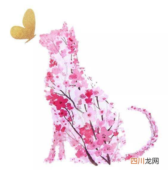 生活难有大快乐，时刻都有“小确幸” 叶辰孙怡夏若雪全文免费阅读